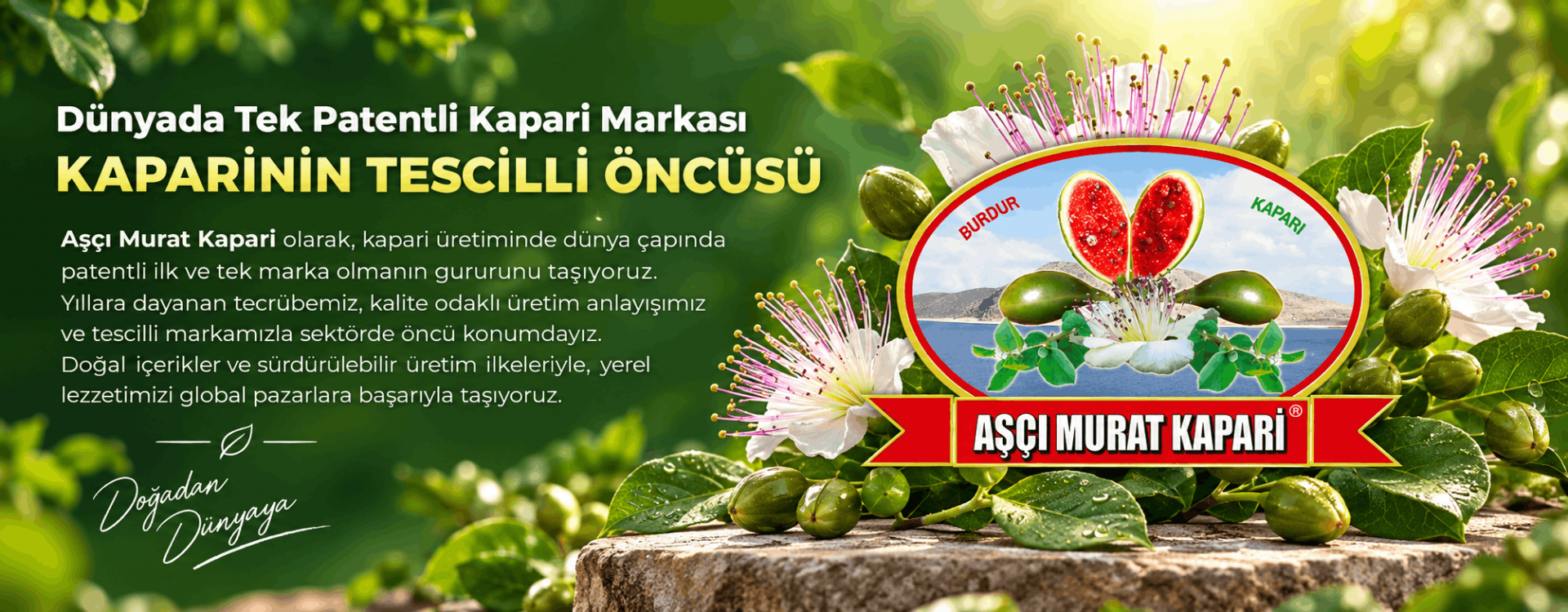 AŞÇI MURAT KAPARİ TESCİLLİ MARKA