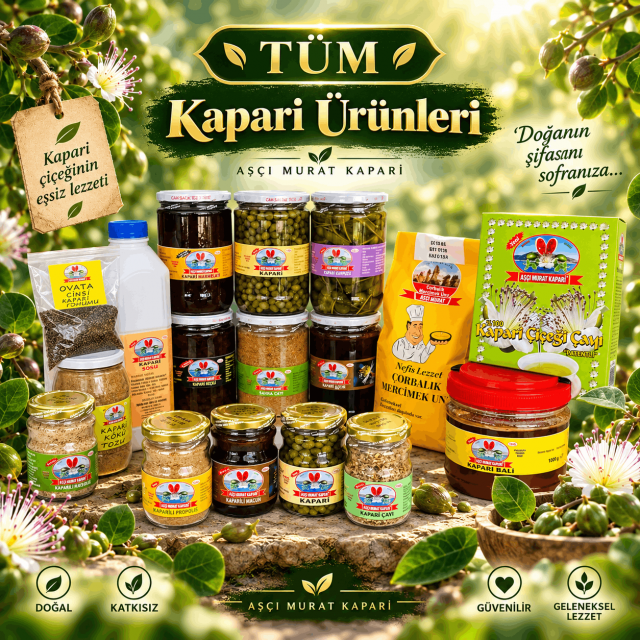 yeni moda E-Ticaret
