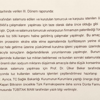 Sağlık Bakanlığı GBTÜ ÜRÜN Onayı III. Dönem Raporu