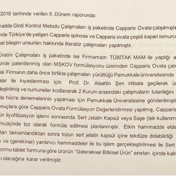 Sağlık Bakanlığı GBTÜ ÜRÜN Onayı II. Dönem Raporu