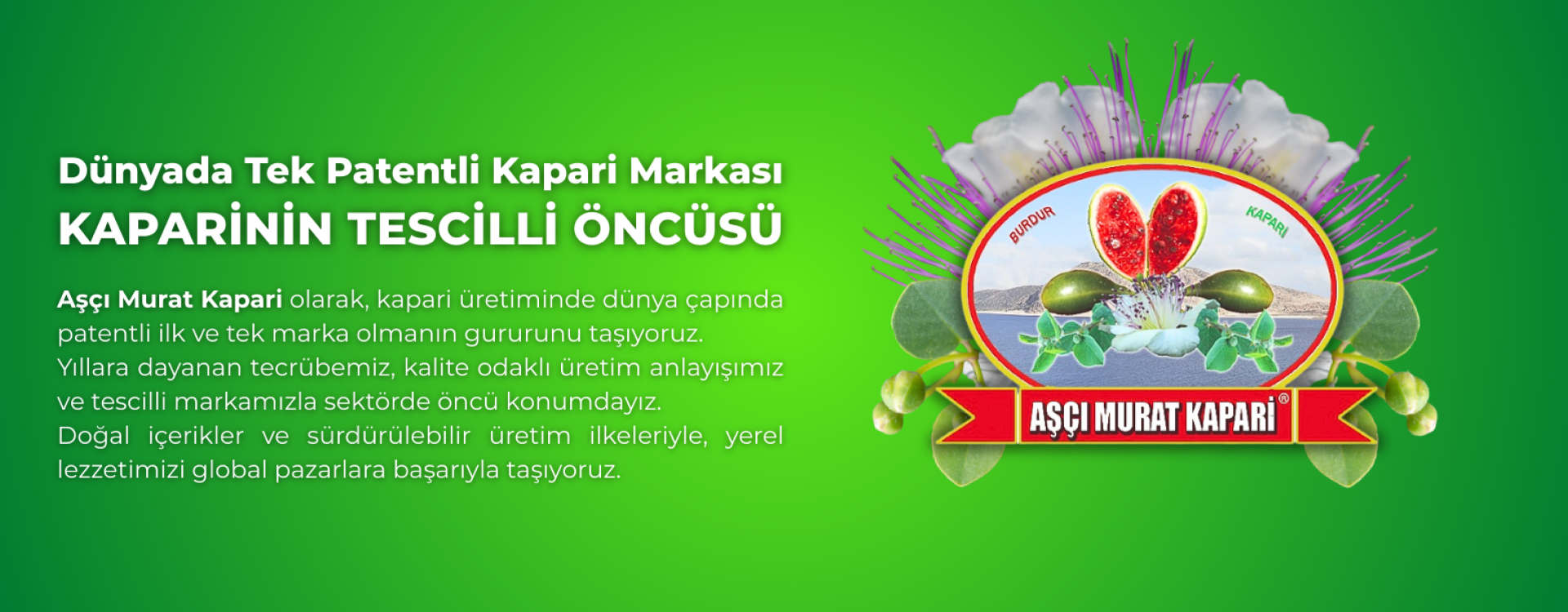 AŞÇI MURAT KAPARİ TESCİLLİ MARKA