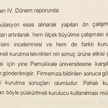 Sağlık Bakanlığı GBTÜ ÜRÜN Onayı IV. Dönem Raporu