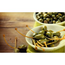 KAPARİ KARPUZU Meyvesi (PATENTLİ) 900 gr. 1 Adet KAPARİ KARPUZU Meyvesi (PATENTLİ) 900 gr. 1 Adet