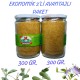 SAFRA ÇAYI 300 GR. (2 ADET Kavanoz) SAFRA ÇAYI 300 GR. (2 ADET Kavanoz)