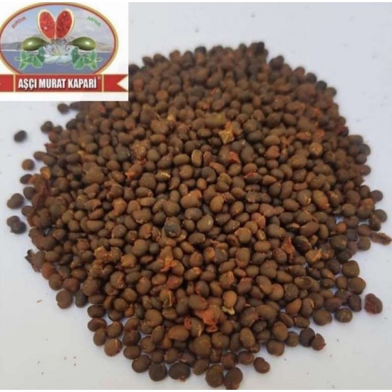 KAPARİ TOHUMU 500 GR.