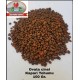 KAPARİ TOHUMU (OVATA CİNSİ) 100 GR. KAPARİ TOHUMU (OVATA CİNSİ) 100 GR.