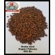 KAPARİ TOHUMU (OVATA CİNSİ) 250 GR. KAPARİ TOHUMU (OVATA CİNSİ) 250 GR.