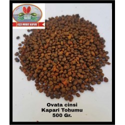 KAPARİ TOHUMU (OVATA CİNSİ) 500 GR. KAPARİ TOHUMU (OVATA CİNSİ) 500 GR.