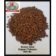 KAPARİ TOHUMU (OVATA CİNSİ) 500 GR. KAPARİ TOHUMU (OVATA CİNSİ) 500 GR.