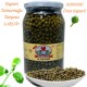 KAPARİ TURŞUSU NONPORİ (İNCE KALİBRE) 1,285 GR.
