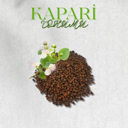 KAPARİ TOHUMU (OVATA CİNSİ) 1 KG. KAPARİ TOHUMU (OVATA CİNSİ) 1 KG.