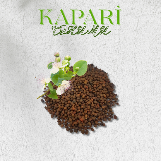 KAPARİ TOHUMU 1 KG